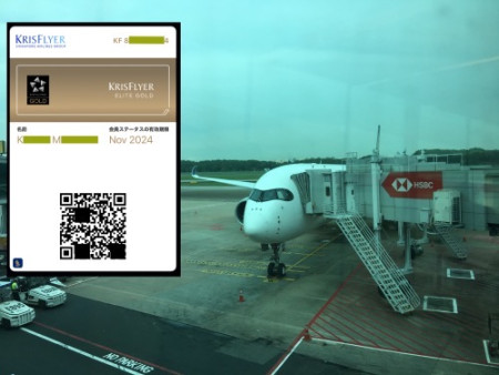 196 At this flight was also promoted to Diamond status of SIA
